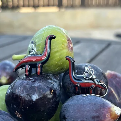 Kolczyki Dino Paski