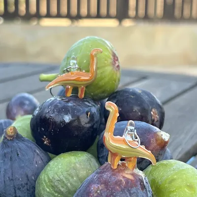 Kolczyki Dino Reggae