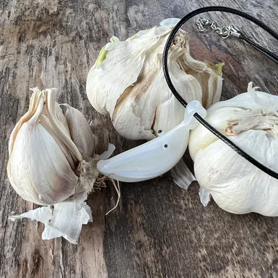 Czosnek Czesław