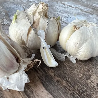 Cecilia the Garlic