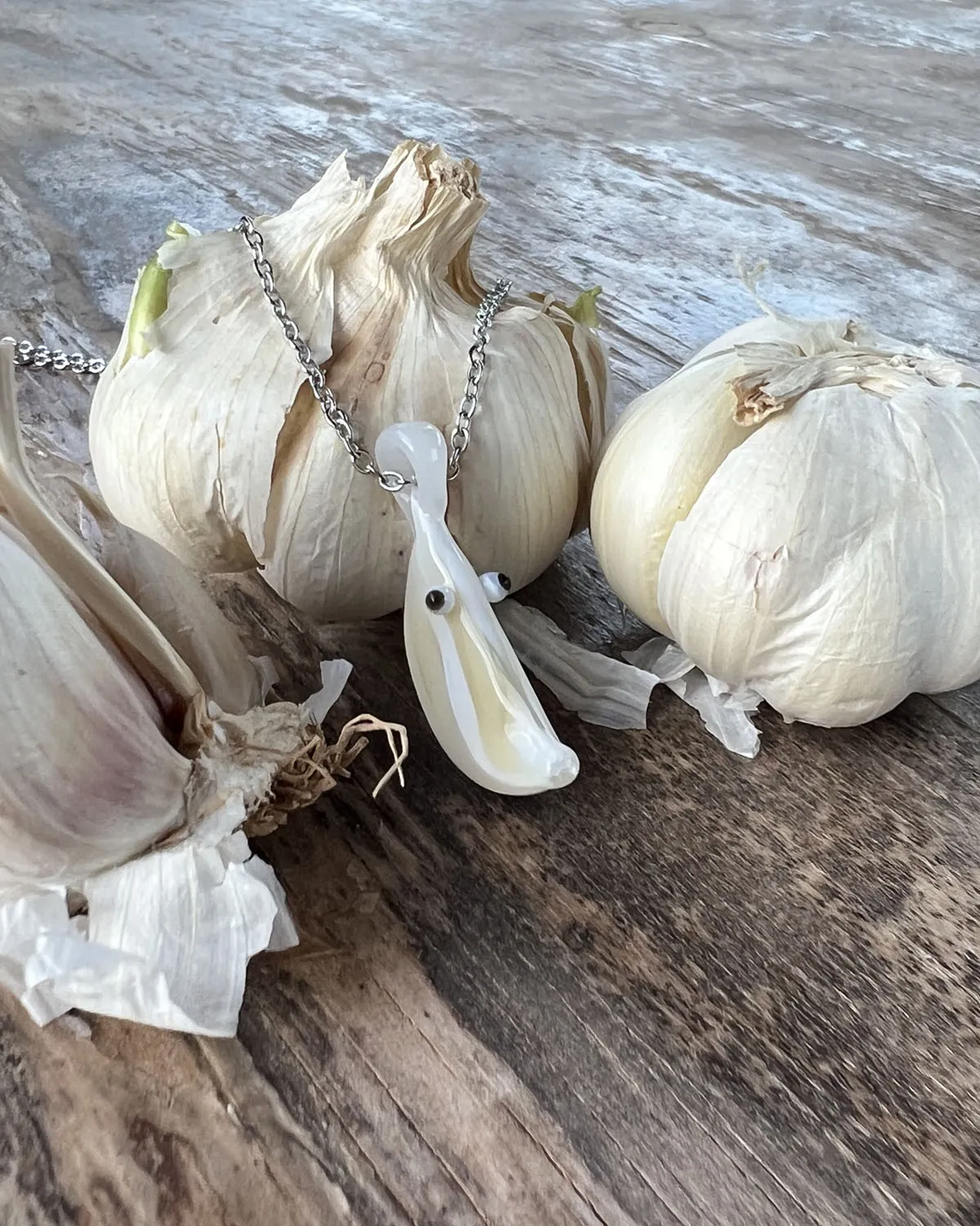 Cecilia the Garlic — 1