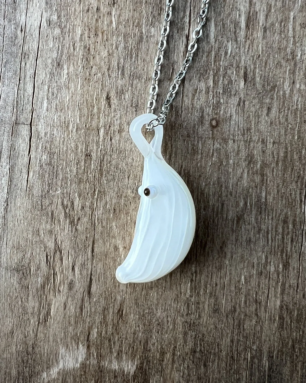 Cecilia the Garlic — 3
