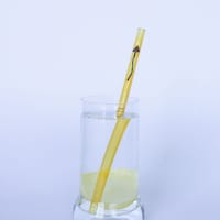 SIP Glass Straw - Honey with Mushroom 3