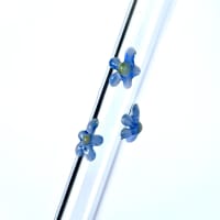 SIP Glass Straw - Clear with Flowers 1