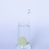 SIP Glass Straw - Clear with Flowers 3