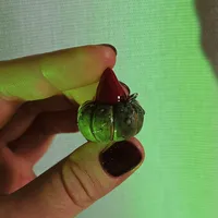 Wisiorek Dynia “Frogg Wizard” 1