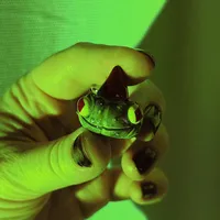 Wisiorek Dynia “Frogg Wizard” 2