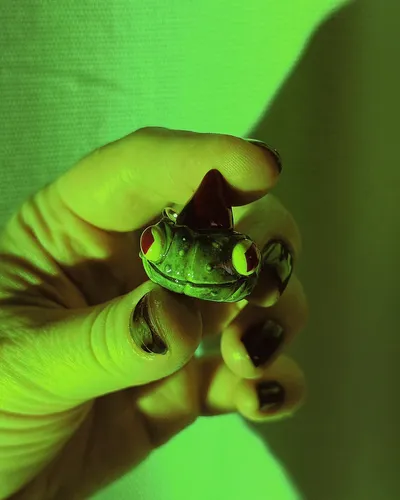 Wisiorek Dynia “Frogg Wizard” — thumbnail 3