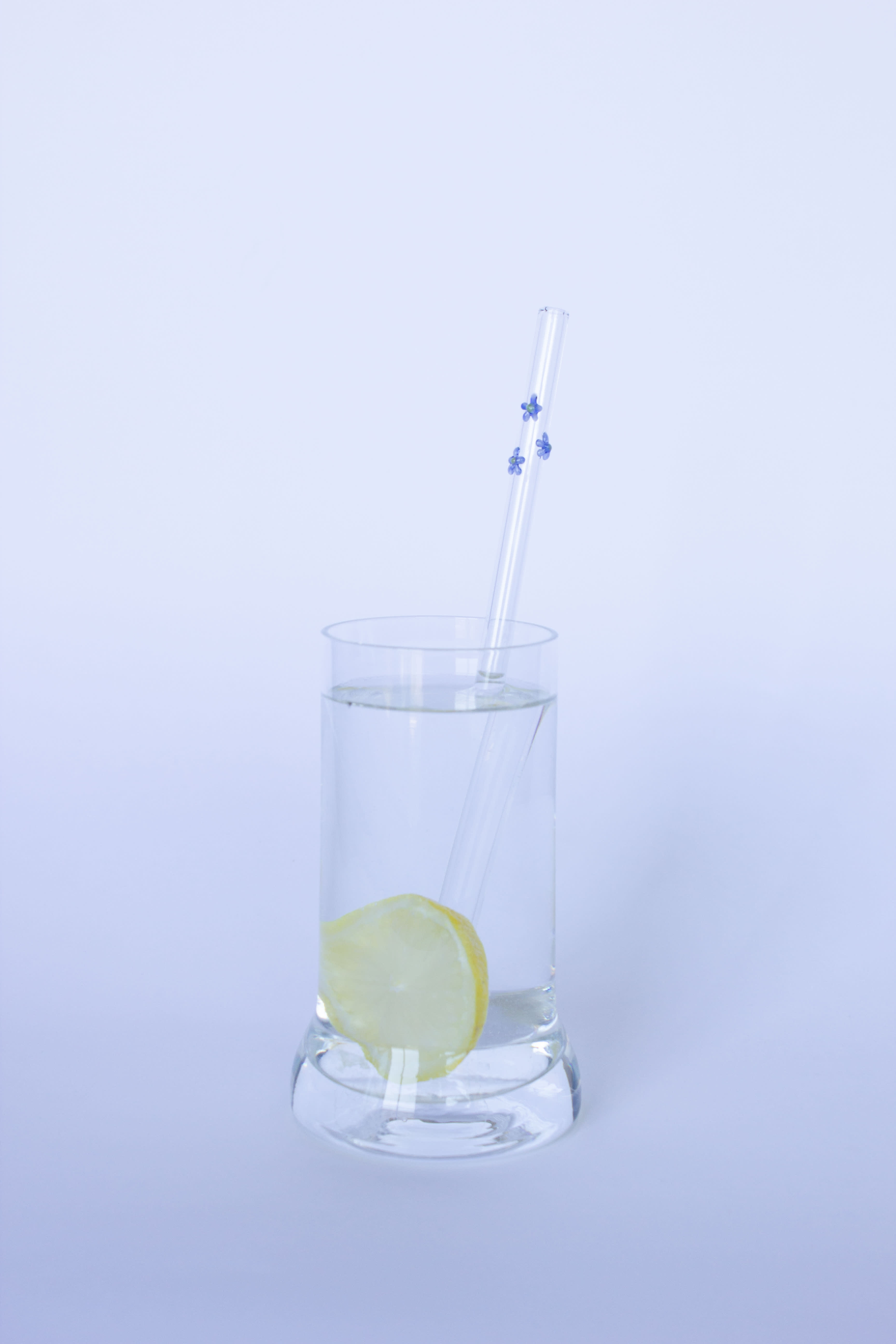 SIP Glass Straw - Clear with Flowers — 4