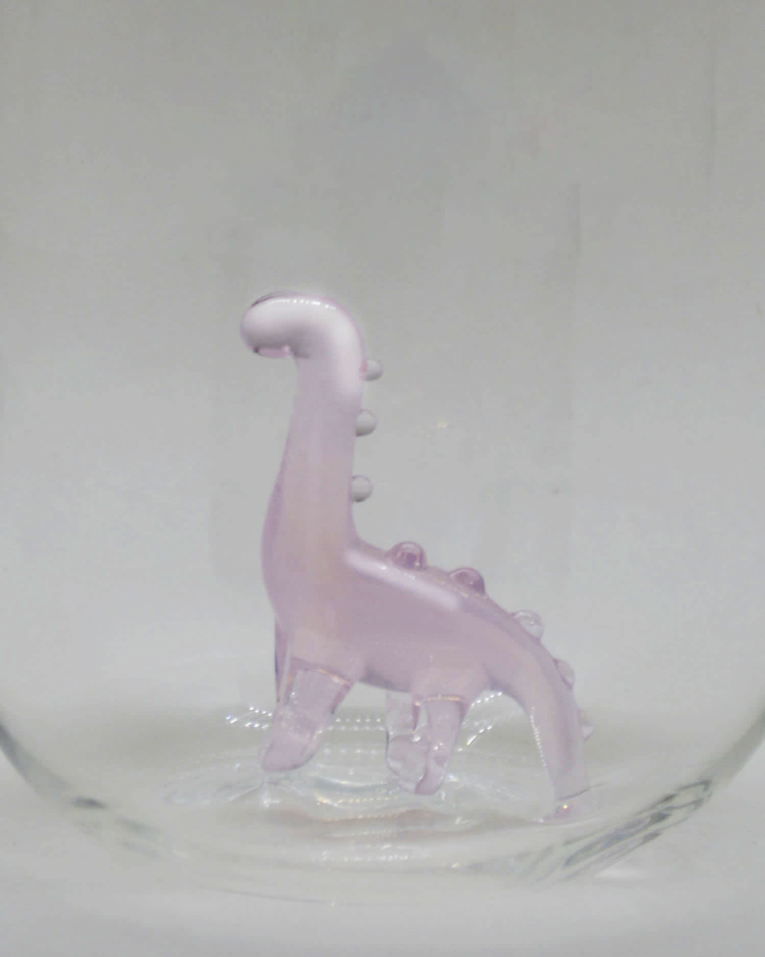 Dino Pink Glass — 2